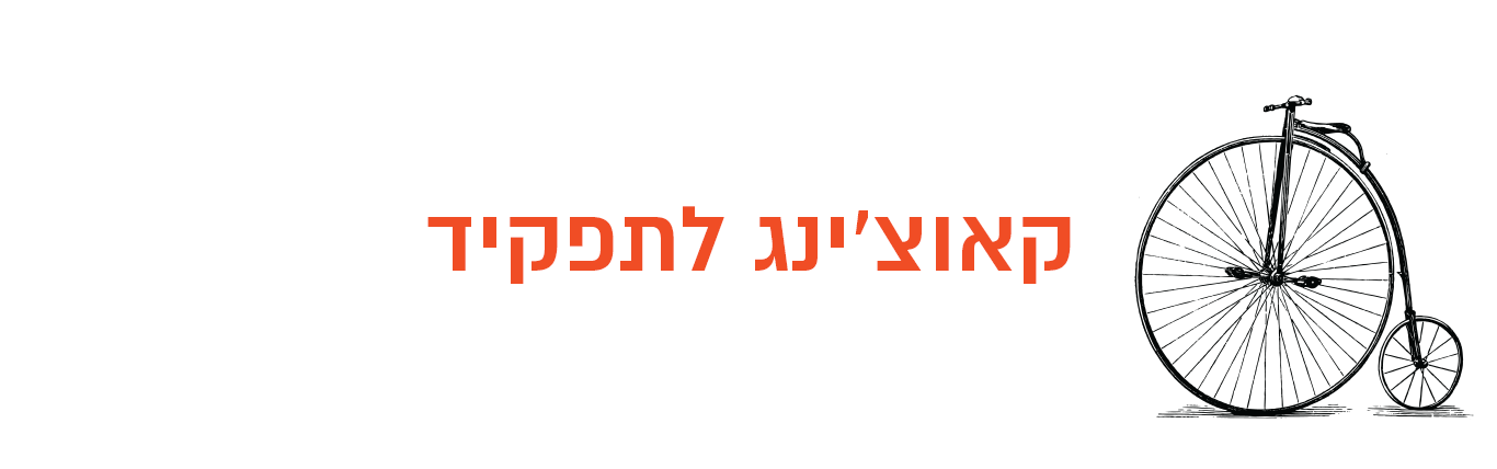 קואצ׳ינג לתפקיד